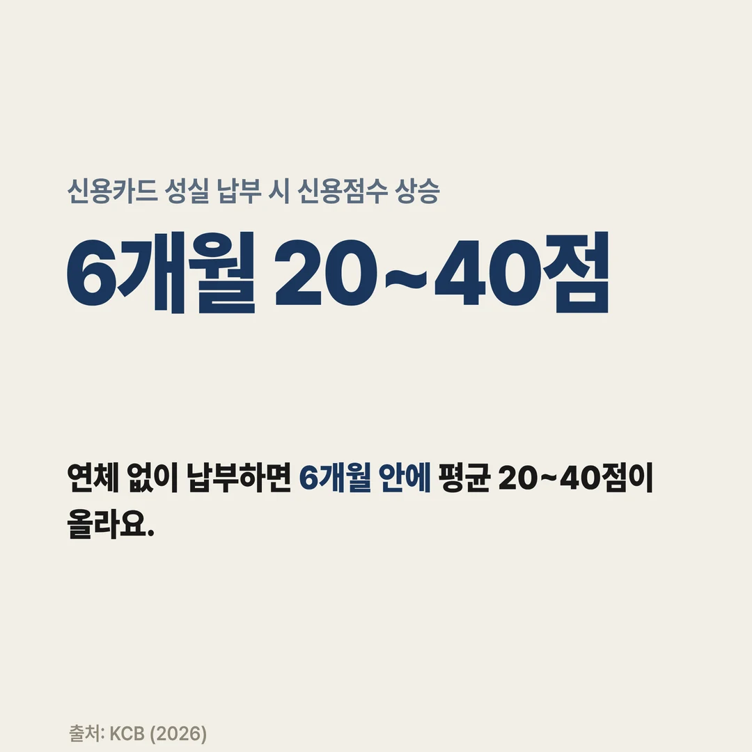 신용카드 성실 납부 시 신용점수 상승 6개월 20~40점